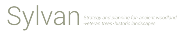 Sylvan Consulting